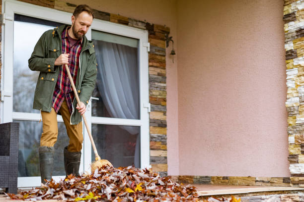 Best Furniture Removal Near Me  in South Valley, NM