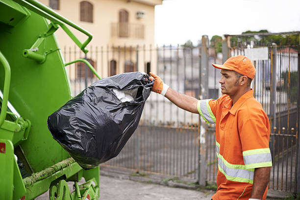 Best Yard Cleanup Services  in South Valley, NM
